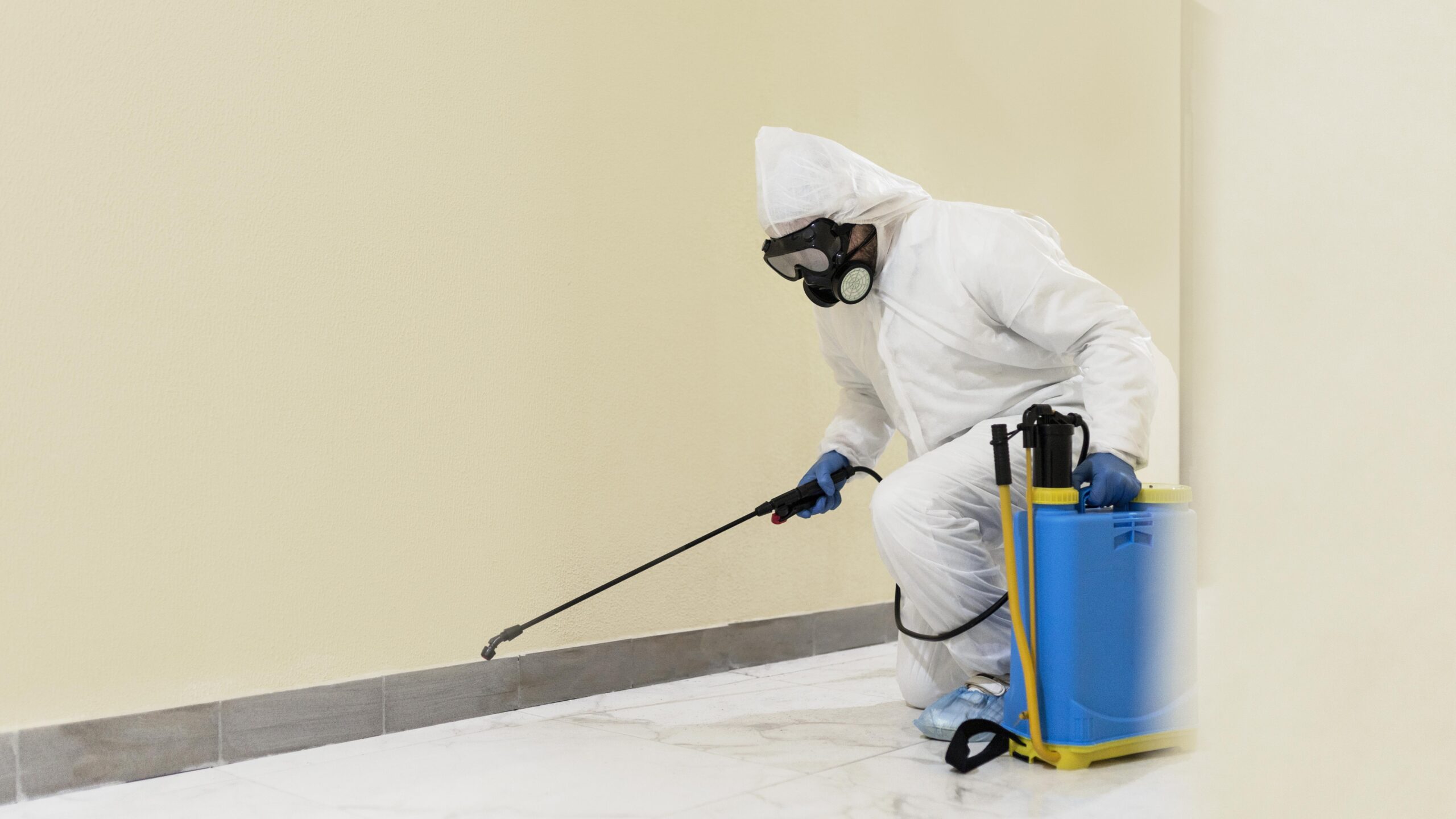 professional mould remediation company Winnipeg